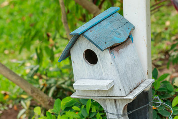 Old Bird net box from man made