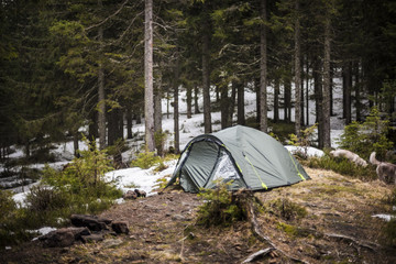 tent in the forest