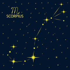 Zodiacal constellations SCORPIUS. Scorpio. Vector.