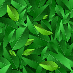Fototapeta premium Vector seamless summer pattern with green leaves. Nature ecology