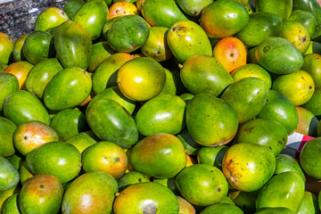 Mangos for sale at a market