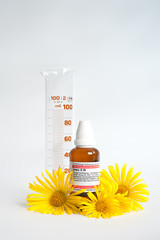 Homöopahtie - Arnica