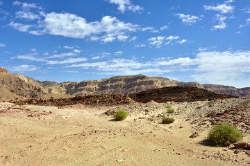 Fototapeta na wymiar Negev desert, Israel