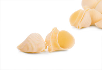 Close up of Italian pasta shells. 