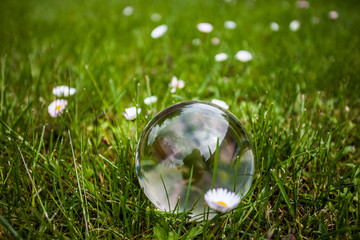 Glaskugel im Garten
