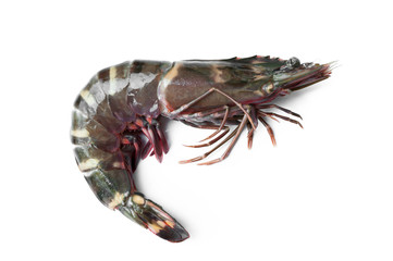 Raw Tiger prawn ready for cooking