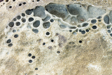 Close Up of rocky shore texture background