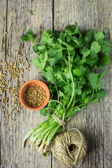 Bunch fresh cilantro and coriander seeds