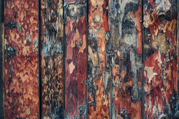 natural wood wall textured  wallpaper background