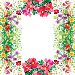 Wild flowers pattern on white background