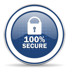 secure icon
