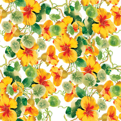 Wild flowers seamless pattern on white background