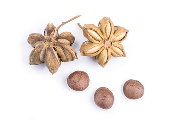 Fototapeta na wymiar Image of sacha inchi peanut seed