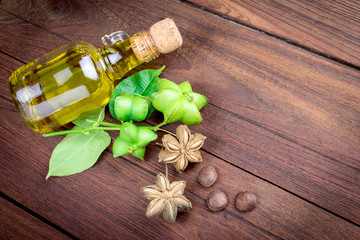 dried capsule seeds fruit of sacha-Inchi peanut