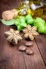 Fototapeta premium dried capsule seeds fruit of sacha-Inchi peanut