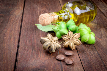 dried capsule seeds fruit of sacha-Inchi peanut