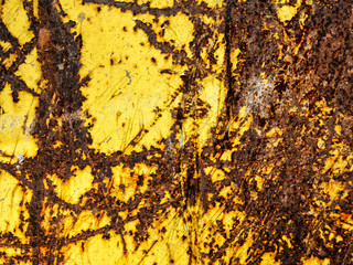 Rost