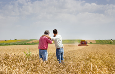 Business partners on wheat field