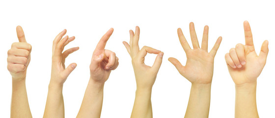 Fototapeta premium hands