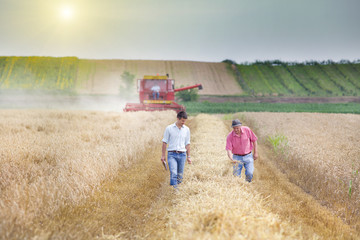 Business partners on wheat field - obrazy, fototapety, plakaty