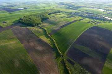 Aerial view of the large green field in spring season