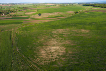 Green fields at springtime