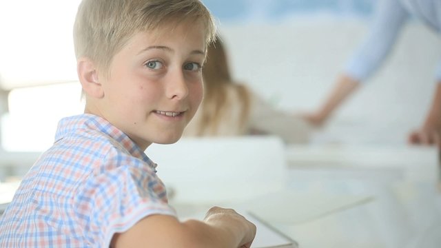 Portrait of schoolboy sitting in classroom