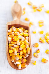 Corn seed on white wooden table