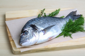 Raw dorado