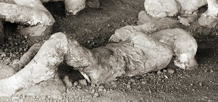 Pompeii. Child victim in the eruption of Mt Vesuvius