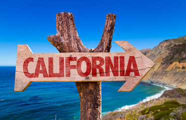 California wooden sign with Big Sur on background