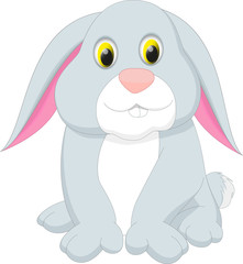 cute rabbit cartoon
