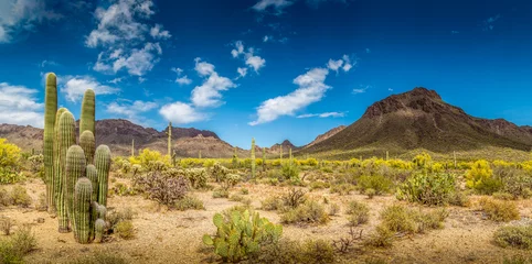 Rolgordijnen Woestijn Ladscape van Arizona © jon manjeot