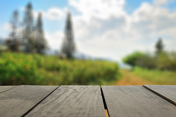 Defocused and blur image of terrace wood and beautiful garden