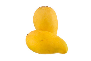Yellow mango isolated on white background