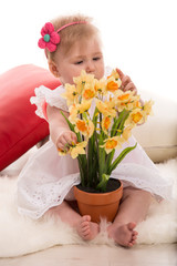Baby girl studi daffodils flowers