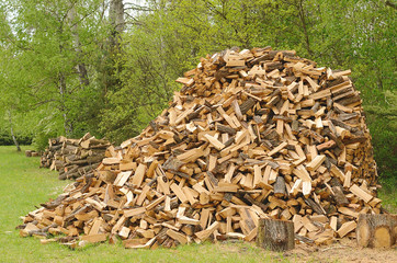 Heap of firewood