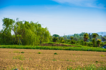 Fattoria, azienda agricola, Paesaggio di campagna Toscana