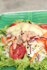Vegetable salad mixed put tuna
