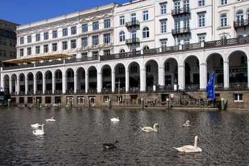 Naklejka premium Amburgo - Rathaus