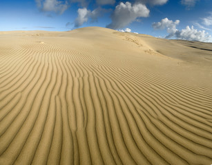 Yellow soft sand dunes