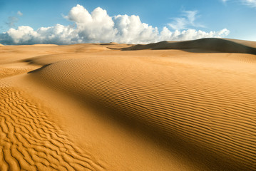 Fototapeta na wymiar Orange soft sand dunes