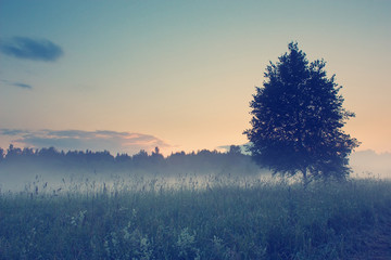 Sunset over the meadow under fog with Instagram style filter