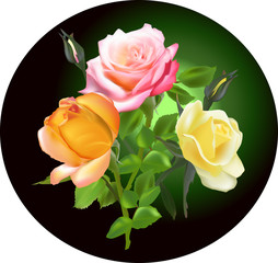 three roses on dark circle background
