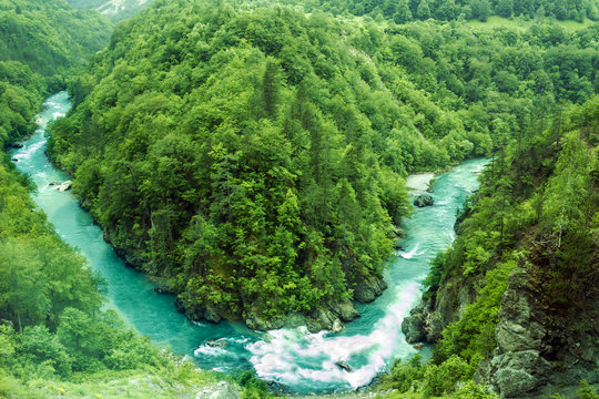 mountain river Tara, Montenegro.