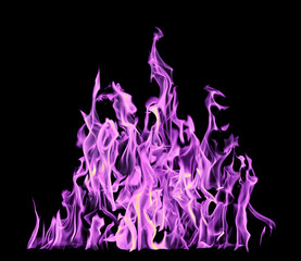 high lilac flame isolated on black