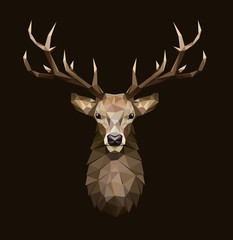 Deer polygonal Illustration. Low poly deer with horns.