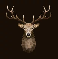 Tuinposter Deer polygonal Illustration. Low poly deer with horns. © georgerod