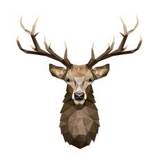 Rolgordijnen Deer polygonal Illustration. Low poly deer with horns. © georgerod