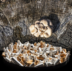 Smoking like disease - stop smoking!
